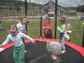 Den deti 2017   222